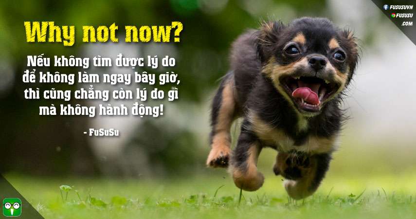 câu hỏi trị hay tật trì hoãn