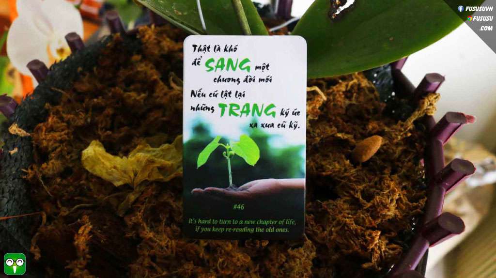 cuối năm nên làm gì là tốt nhất để quên đi năm cũ và có một năm mới thật tuyệt vời!